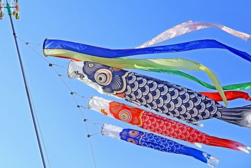 carp streamer