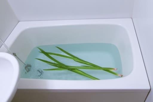 sweet-flag-bath