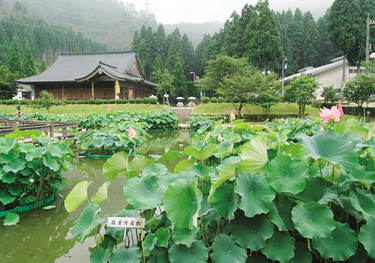 hanahasu park