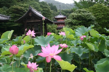 mimuroto temple