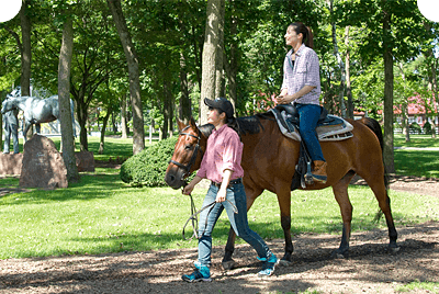 northern horse park